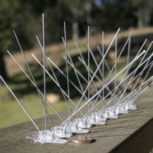 bird-spikes